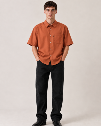 Camisa Diiv terracota