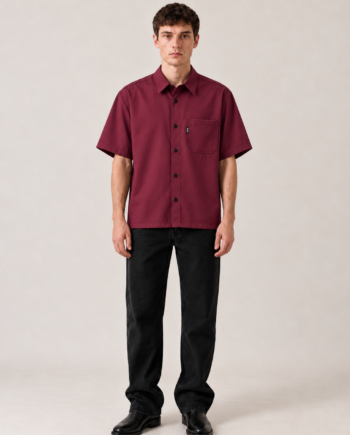 Camisa Diiv burdeo
